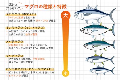 彼女 マグロ|マグロ女子とは？男性が冷めるマグロ女子の特徴と男性の本音を .